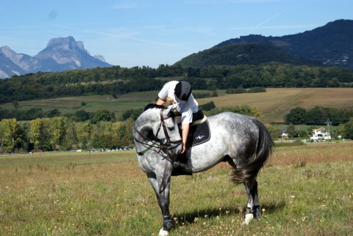 Photo de profil de isa38