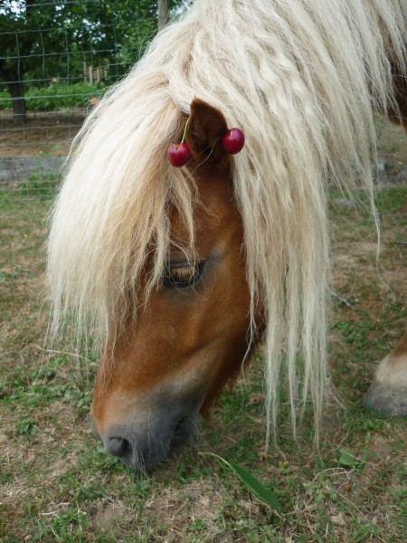 Photo de profil de balzaane