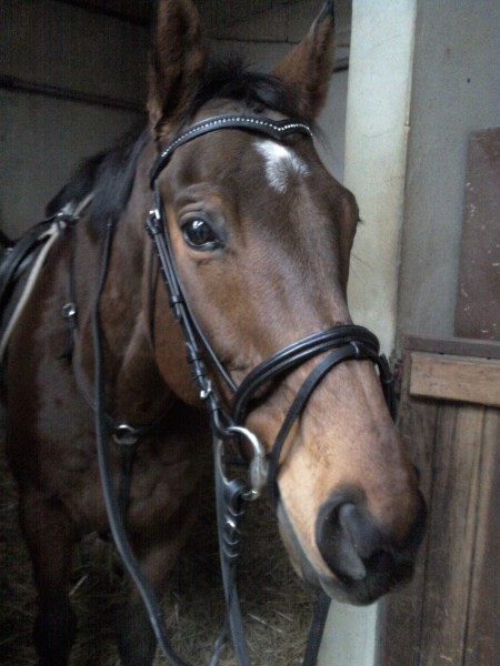 Photo de profil de caro8908