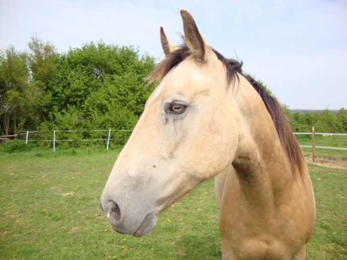 Photo de profil de seve49