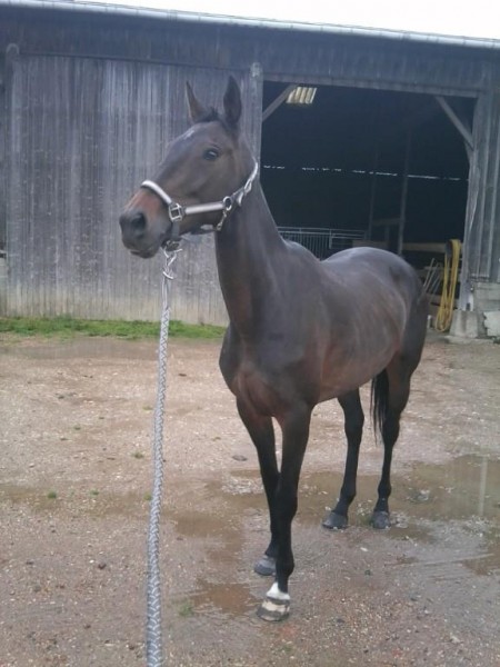 Photo de profil de babylight7