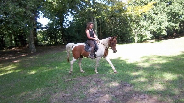 Photo de profil de melanie.v