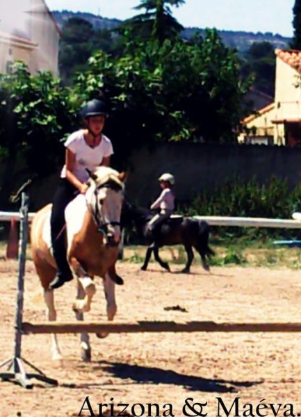 Photo de profil de orcashorse