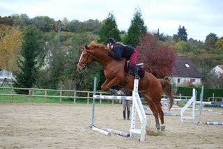 Photo de profil de horse46