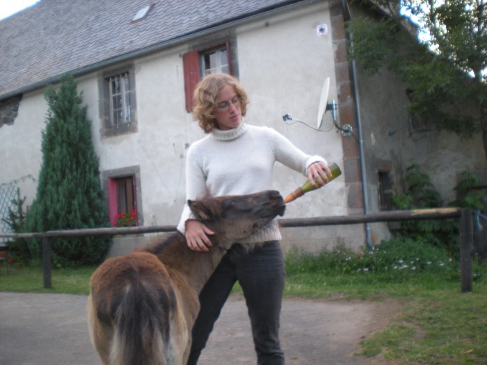 Photo de profil de orcane