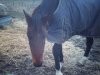 Photo de profil de lesllie