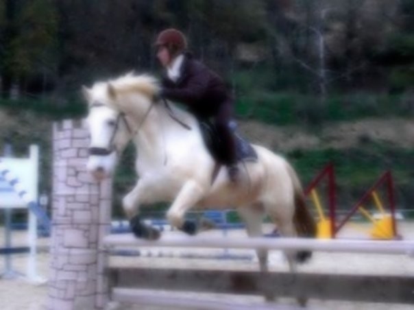 Photo de profil de junior26100