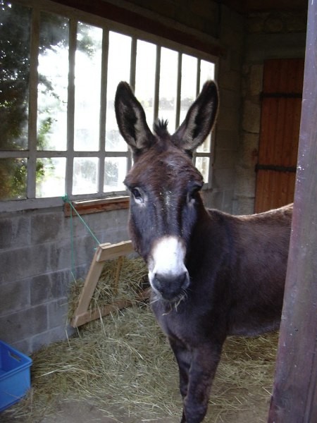 Photo de profil de bazilium