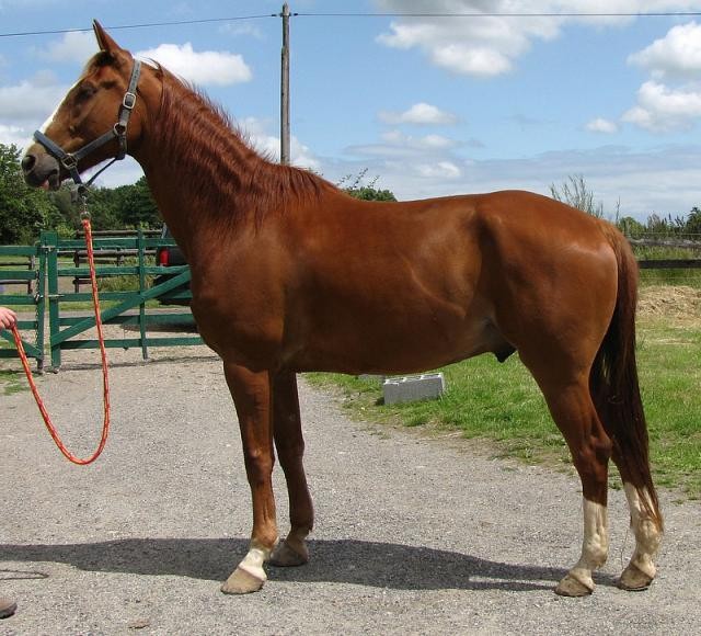 Photo de profil de tinounoune