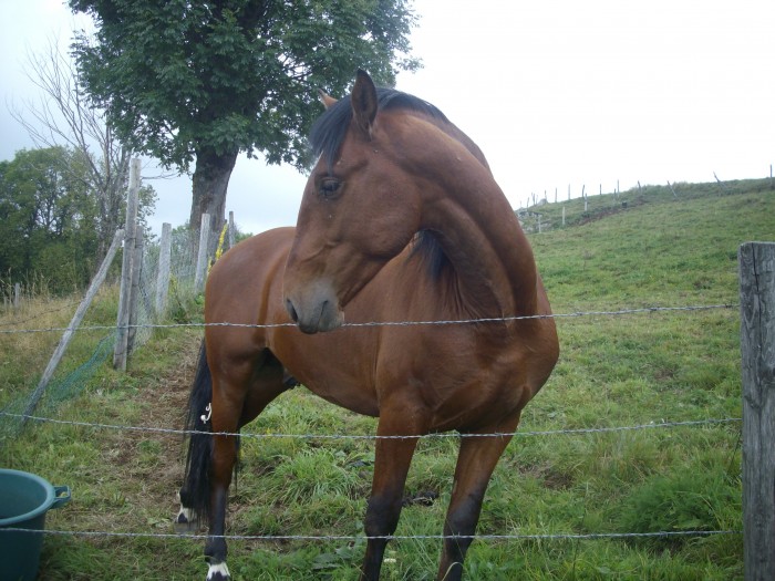 Photo de profil de curieux