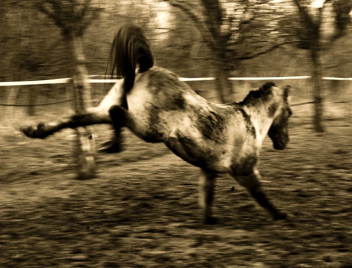 Photo de profil de sloki