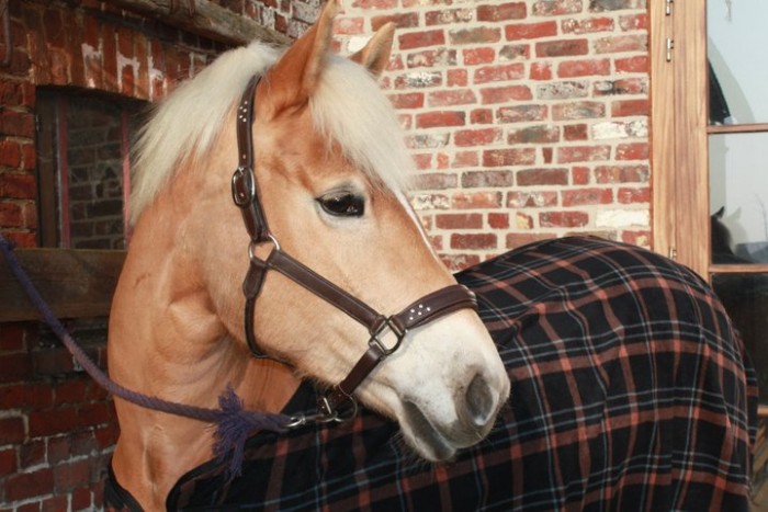 Photo de profil de duhayon