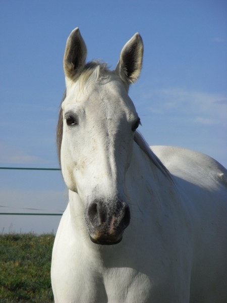 Photo de profil de harmony