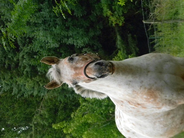 Photo de profil de pepette02