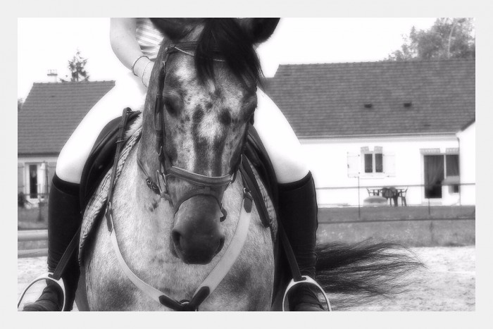 Photo de profil de lolypop