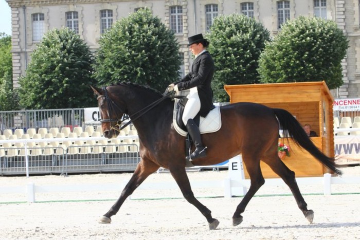 Photo de profil de syssi