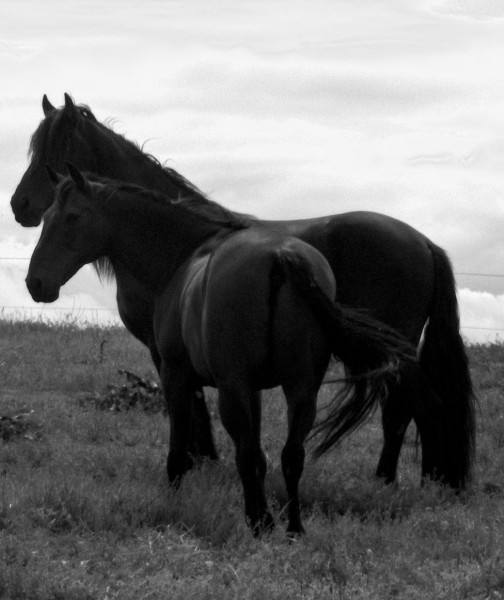 Photo de profil de ethomagiq