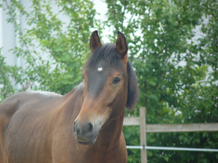 Photo de profil de libollie