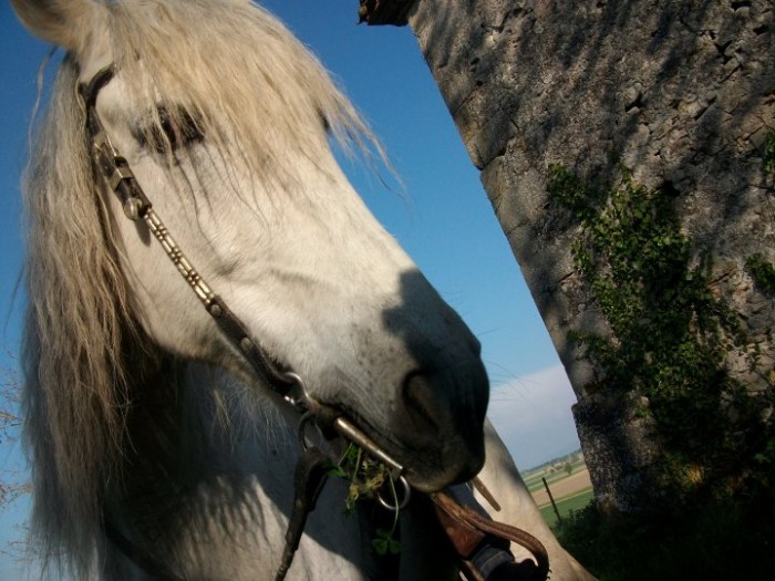 Photo de profil de prepassion81
