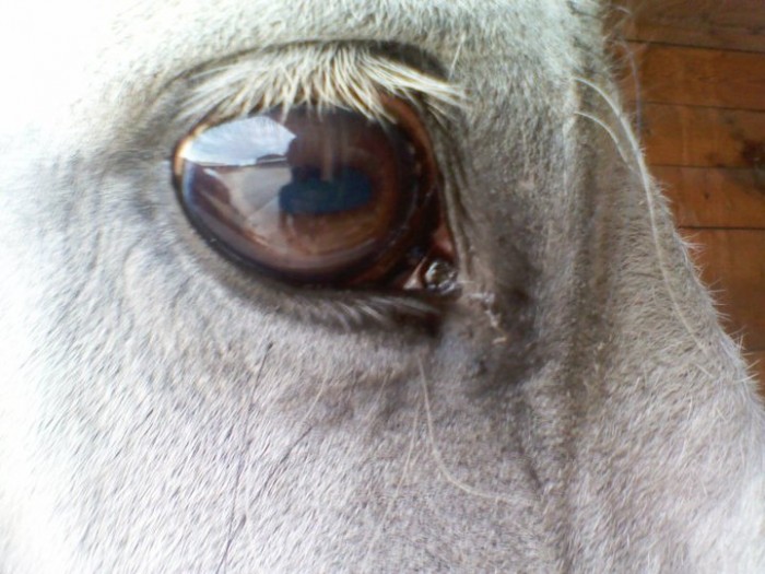 Photo de profil de superiit41