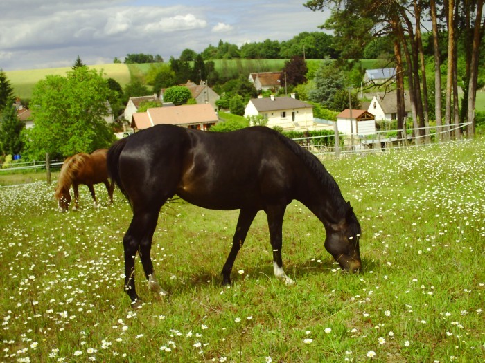 Photo de profil de gatoun