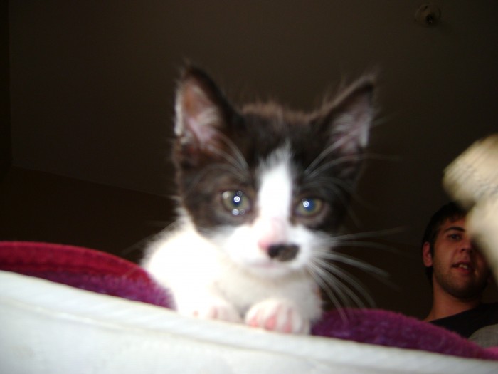 Photo de profil de marylie1792