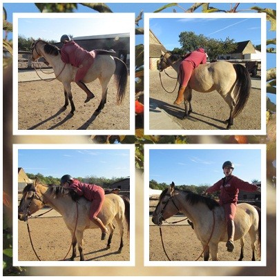 Photo de profil de ebano