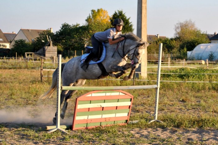 Photo de profil de loulouwizz