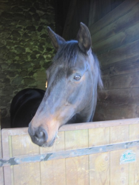 Photo de profil de thioux