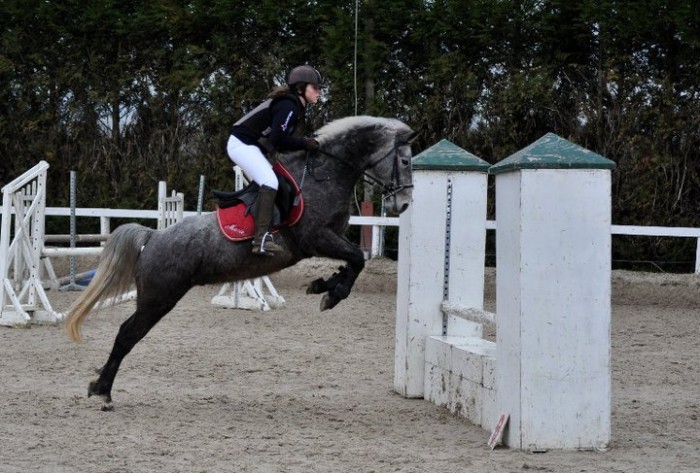 Photo de profil de mariedu61