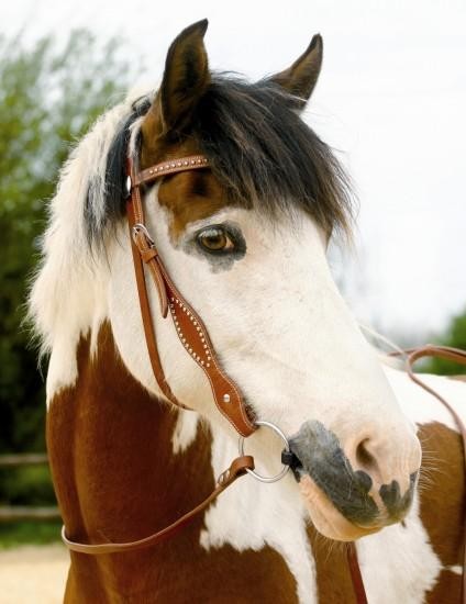 Photo de profil de missmwa19