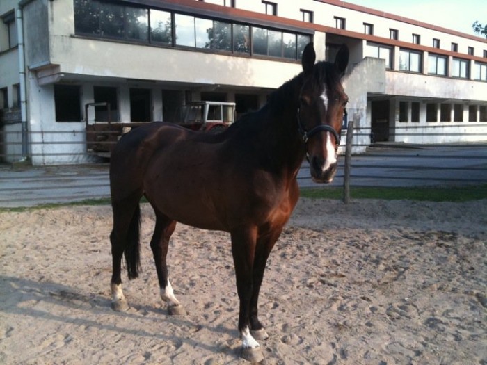 Photo de profil de biboue06