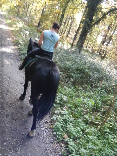 Photo de profil de sherry1705