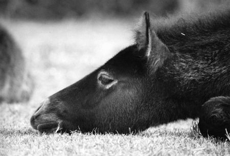 Photo de profil de toscane13