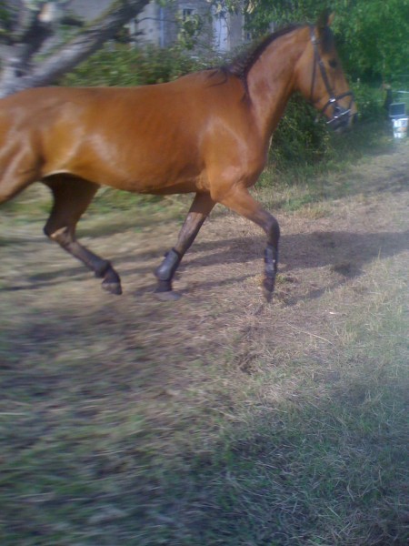 Photo de profil de soukiie