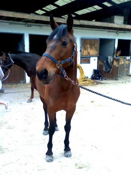 Photo de profil de petitspois