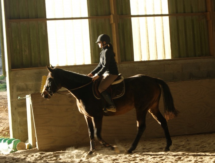 Photo de profil de tennesse29