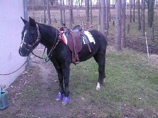 Photo de profil de kyliane37