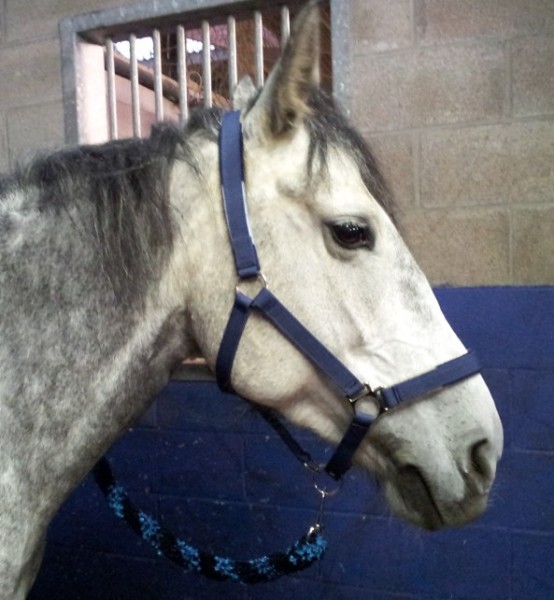Photo de profil de loulou.