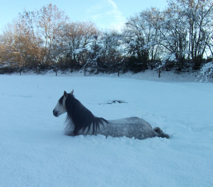 Photo de profil de cassou2413