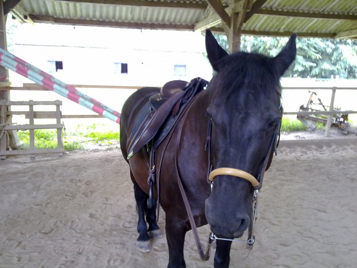 Photo de profil de pioute