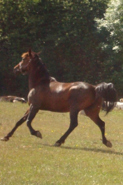 Photo de profil de kiwi1603