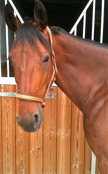 Photo de profil de nocturne771