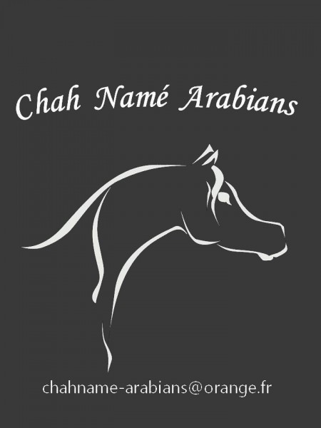 Photo de profil de chahname