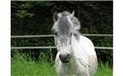 Photo de profil de quenotte78