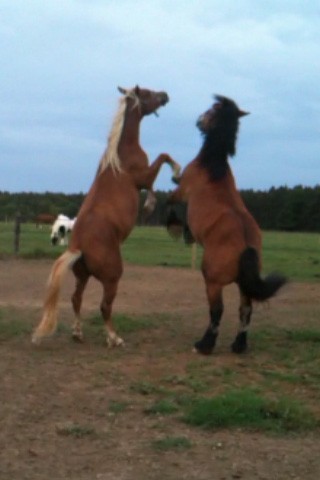 Photo de profil de cecileb0112