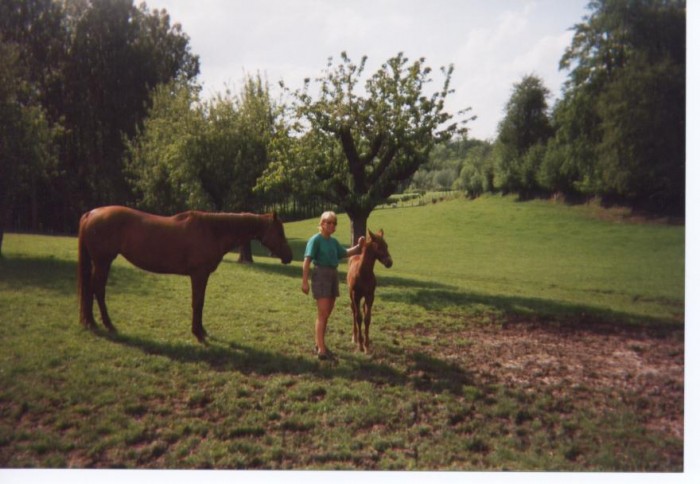 Photo de profil de eccollines