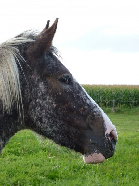 Photo de profil de cellia