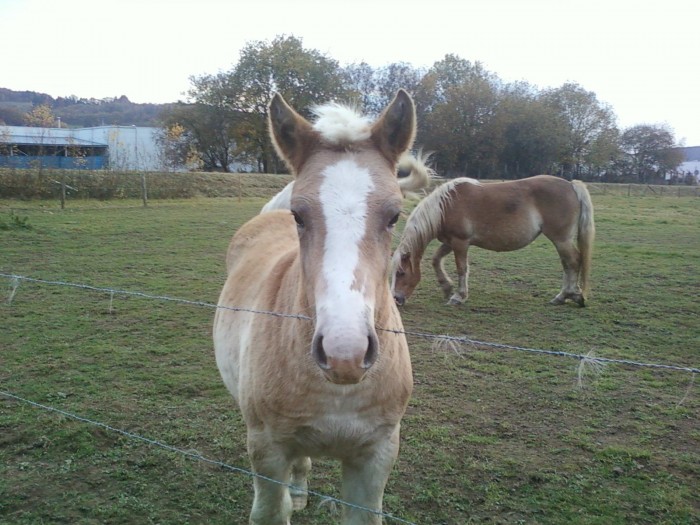 Photo de profil de stef1996