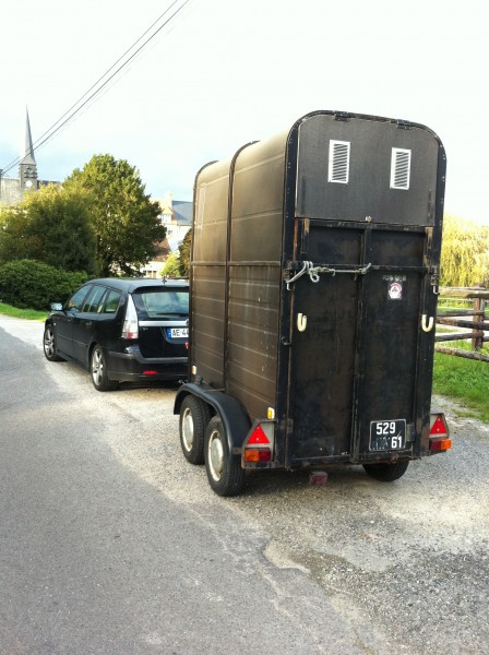 Photo de profil de fidjimesnuls